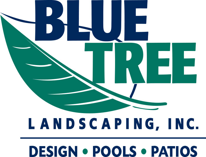 Bluetree Landscaping logo design by advertising agency in Philadelphia