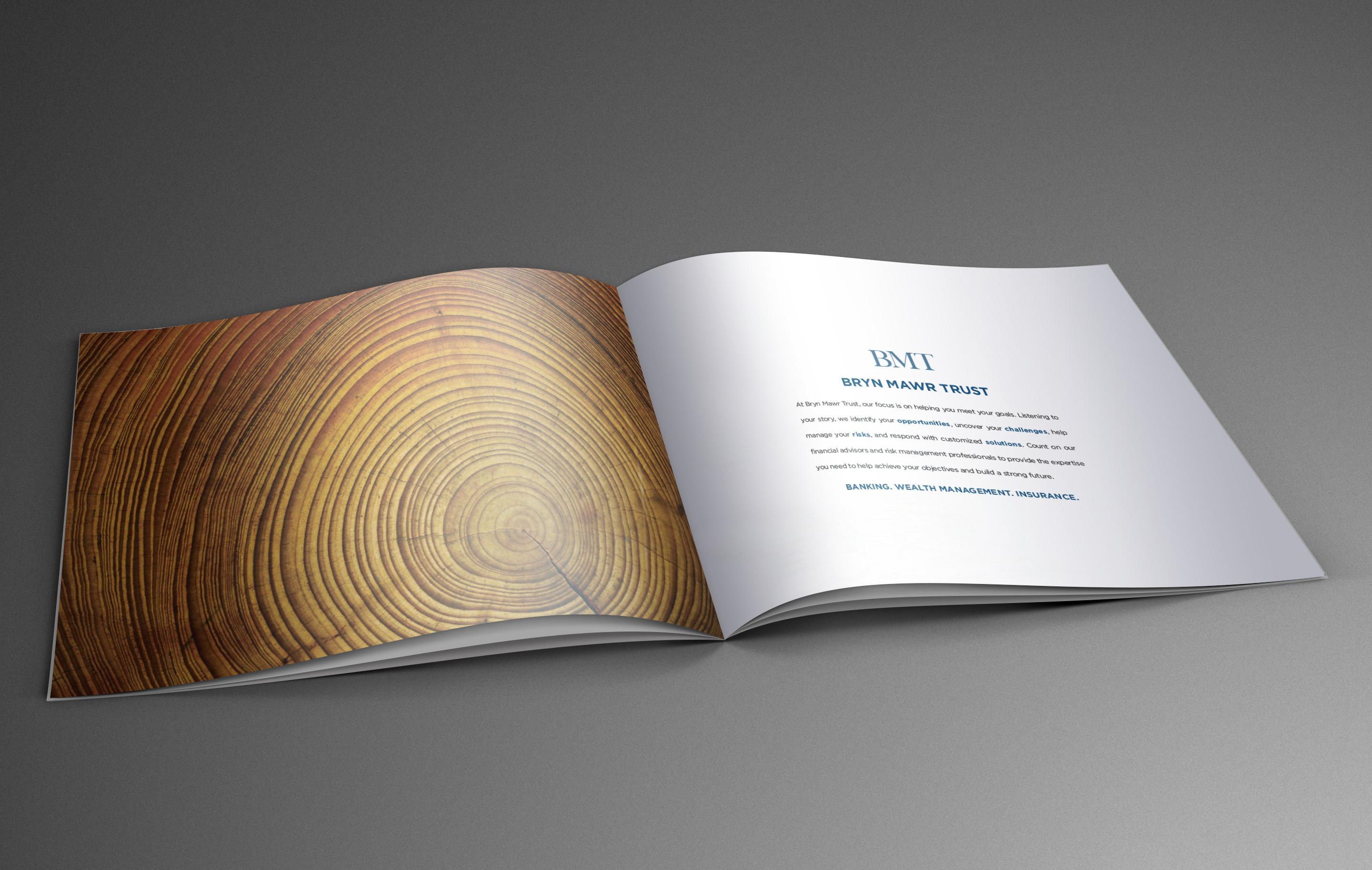 Bryn Mawr Trust brochure inside design by advertising agency in Philadelphia